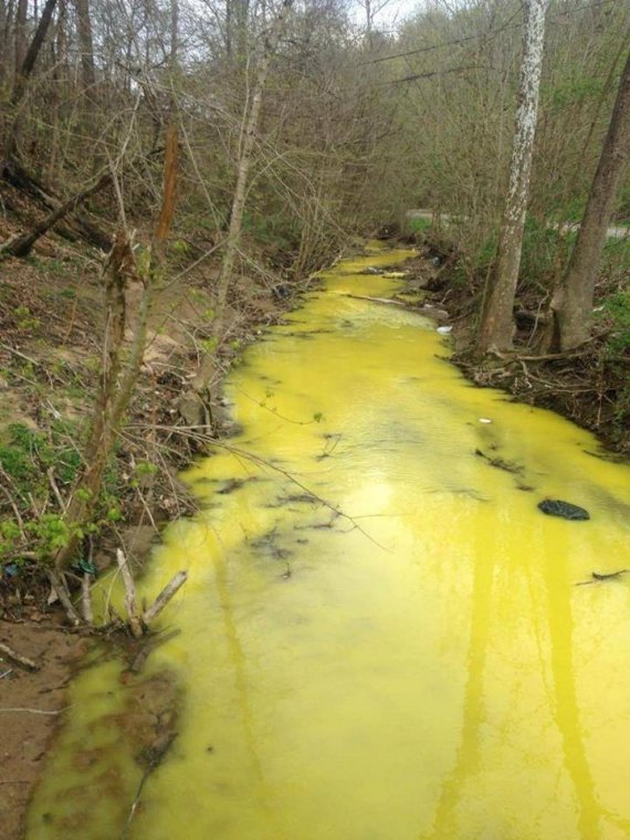Famed Activist Investigating Eastern Kentucky Yellow Creek Famed Activist Investigating Eastern Kentucky Yellow Creek